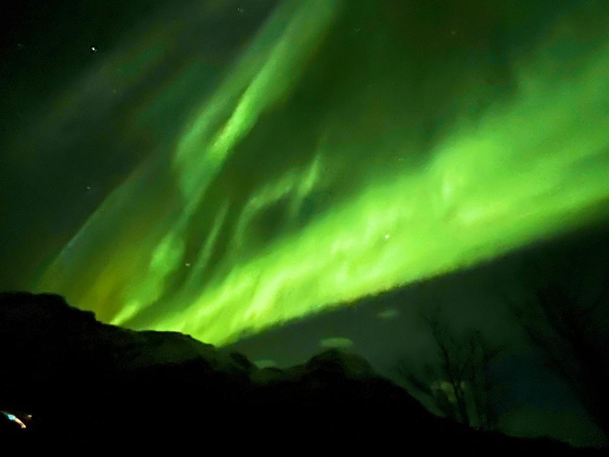 Lofoten Glampingdome Myrland Экстерьер фото