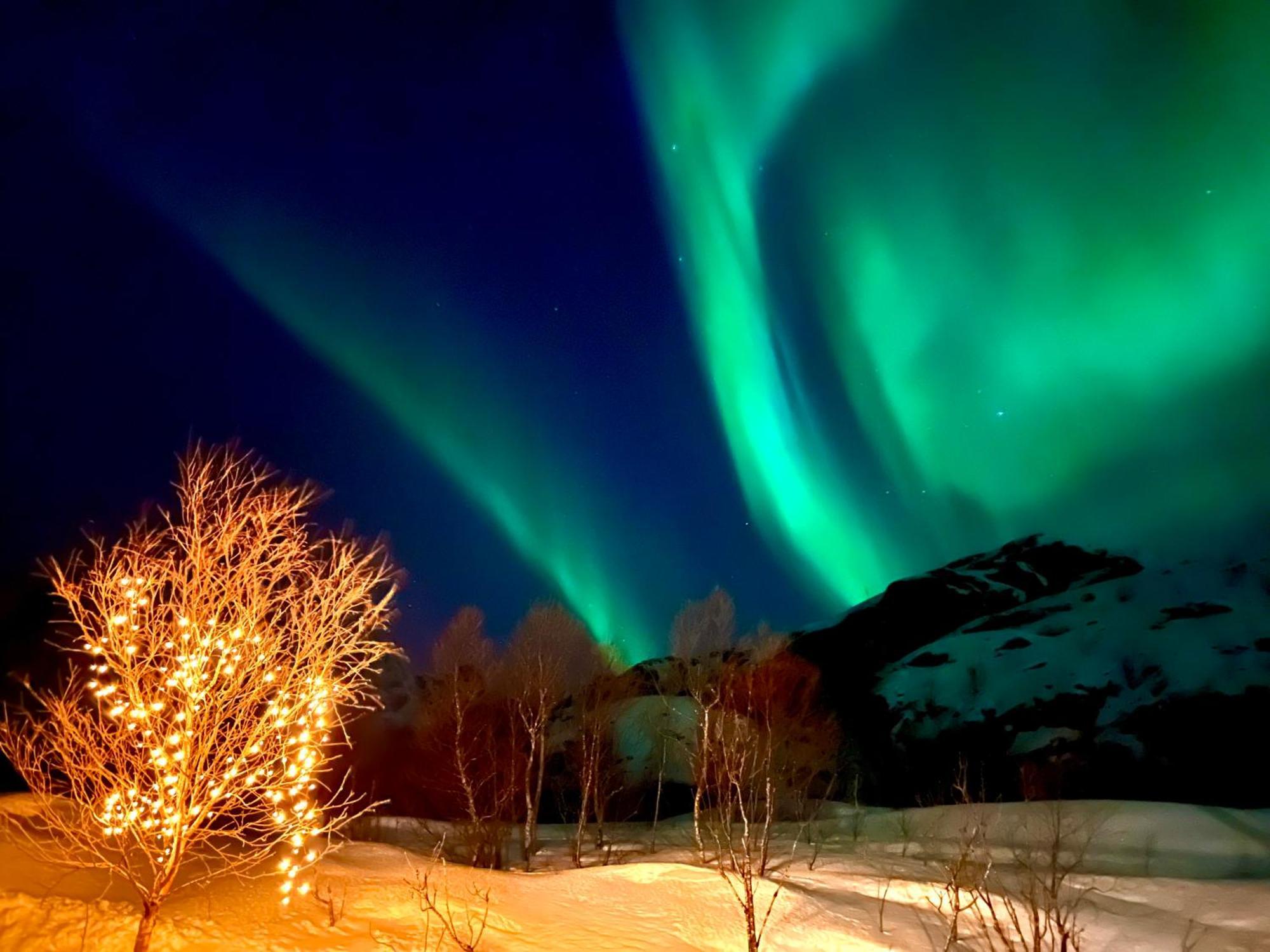 Lofoten Glampingdome Myrland Экстерьер фото