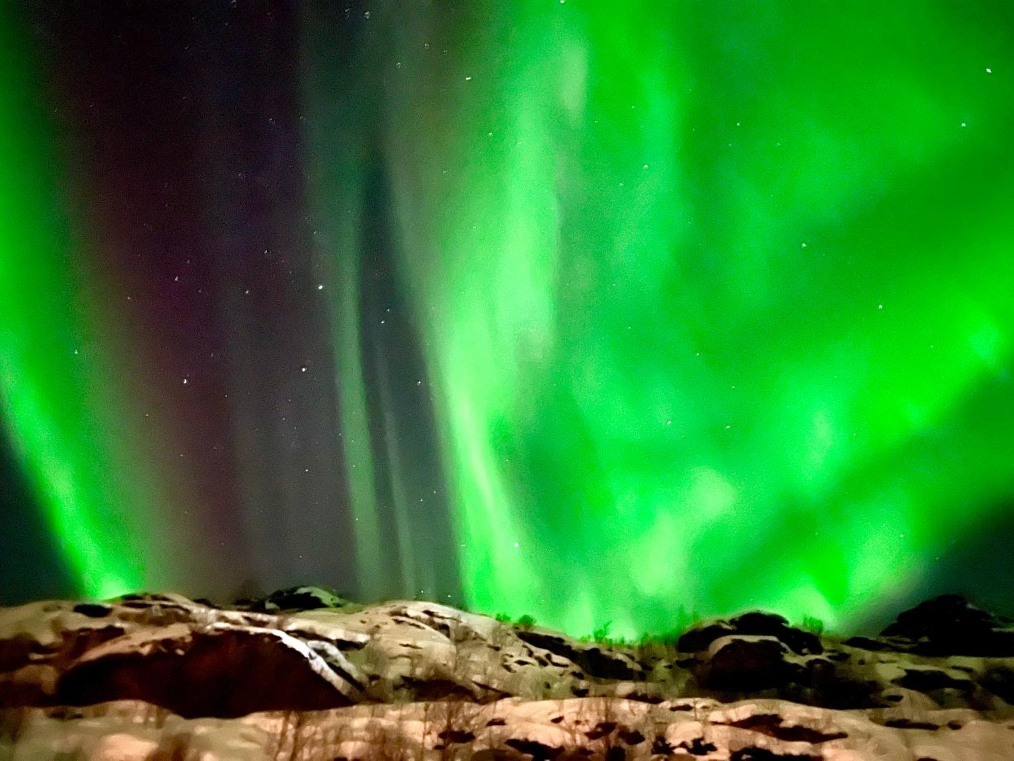 Lofoten Glampingdome Myrland Экстерьер фото