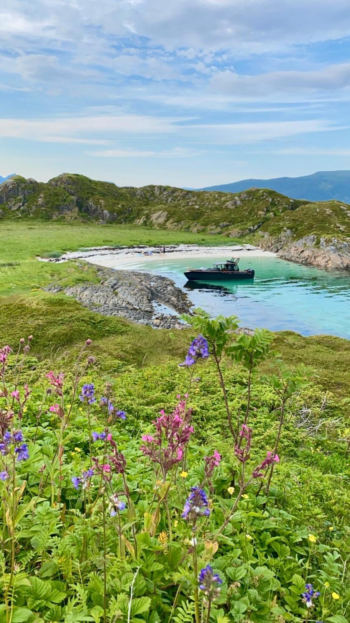 Lofoten Glampingdome Myrland Экстерьер фото